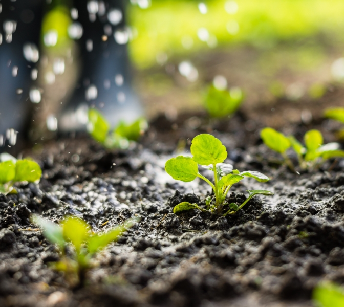 緑化事業と維持管理のノウハウ