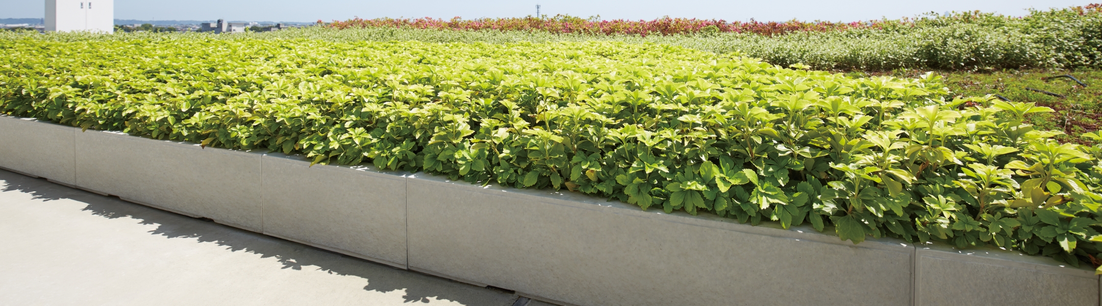 TLCを使った空間づくり