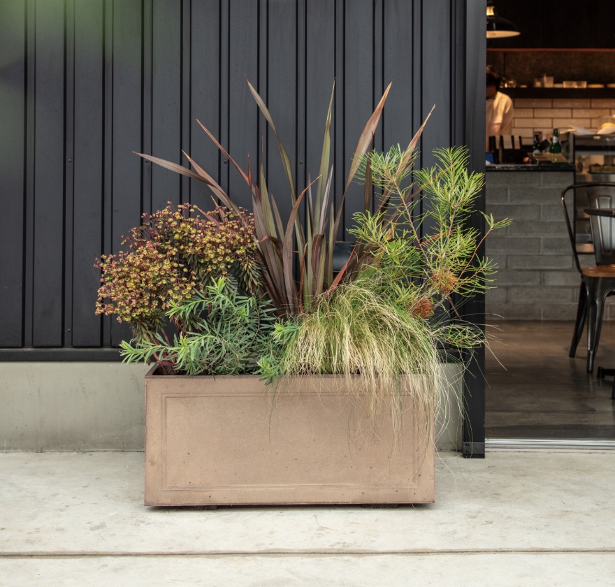 プランター緑化