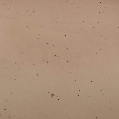 ベージュ（BG2）