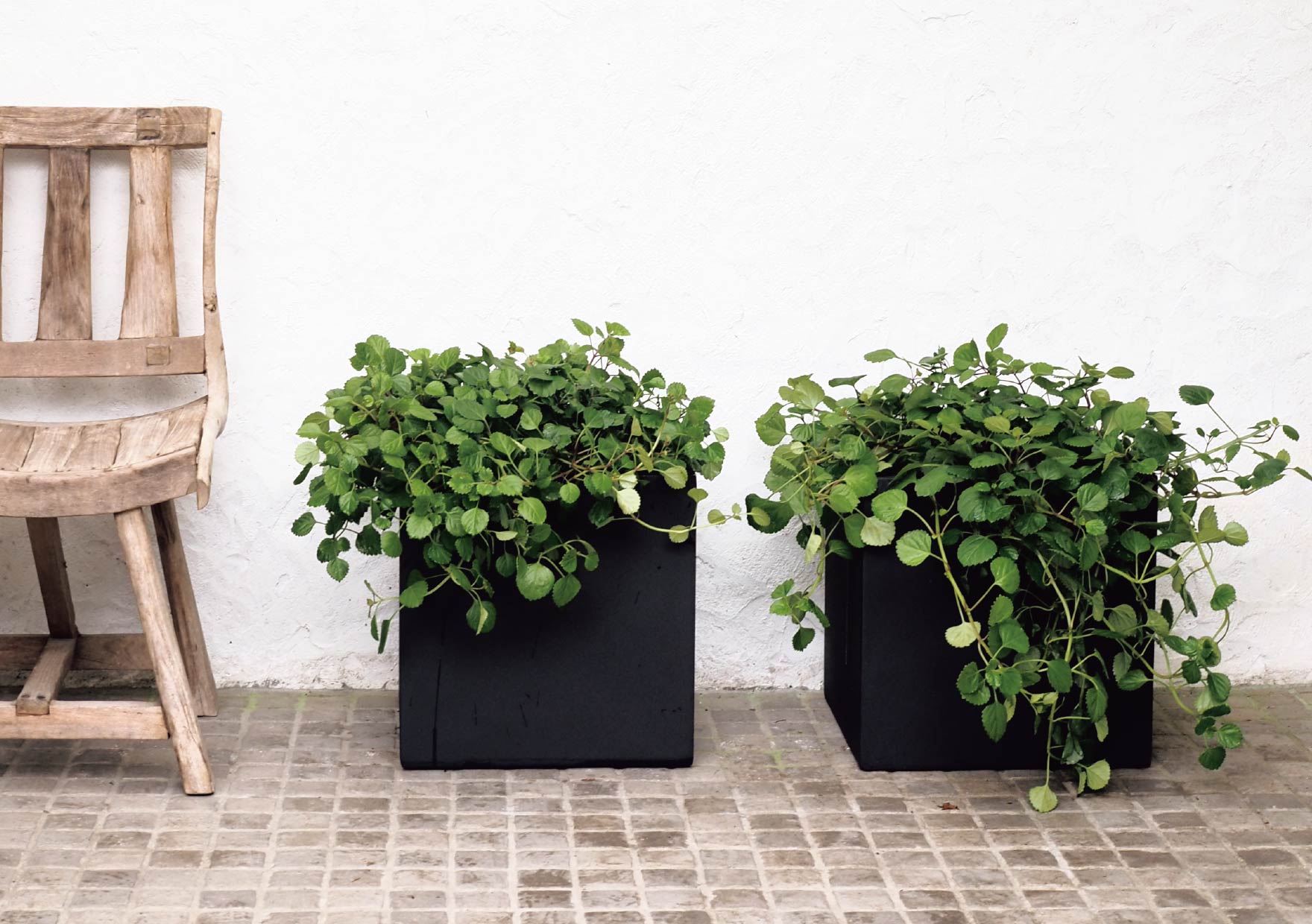 ノッテ・モンタンテ・ナチュラル