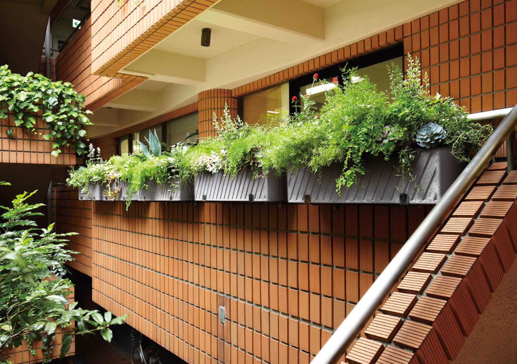 スカイガーデン