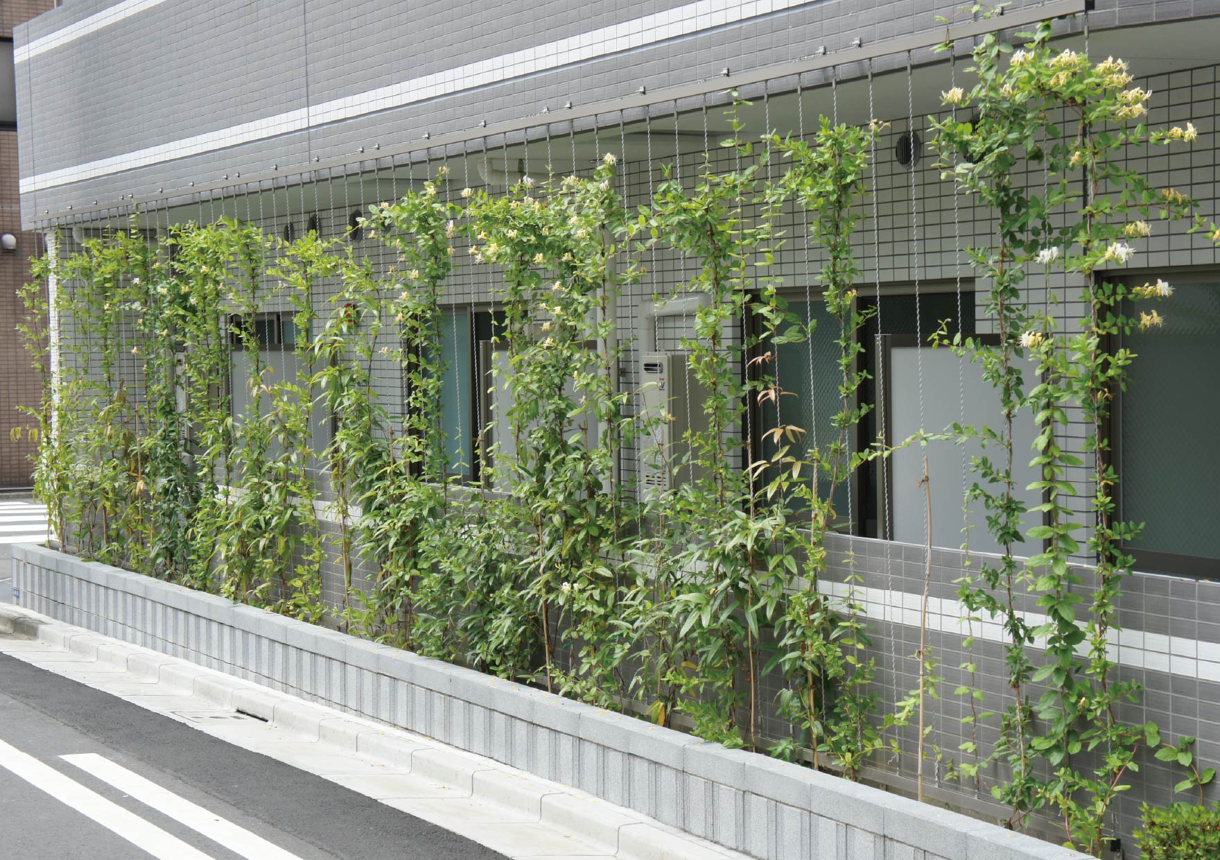 TLC壁面ワイヤー