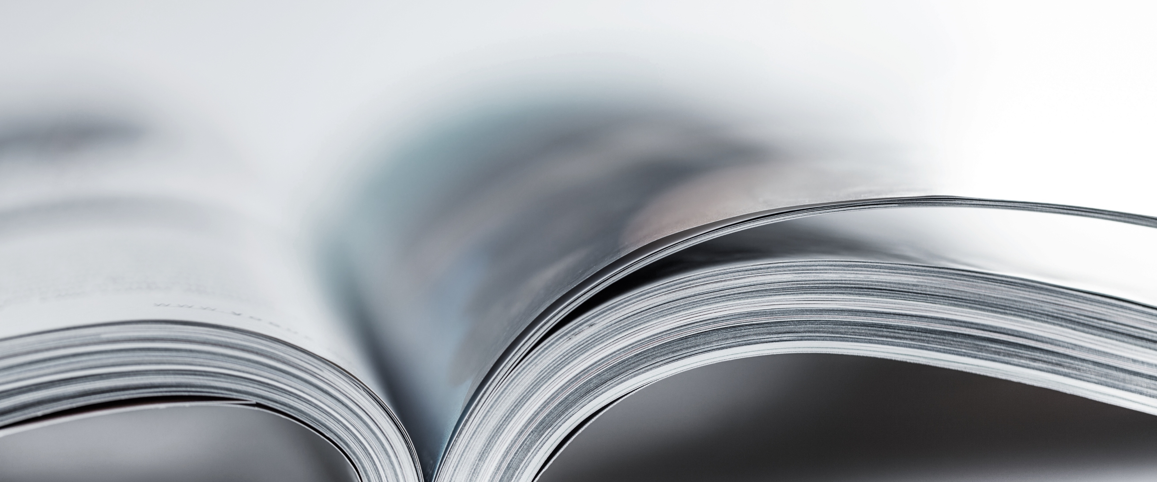 カタログを見る