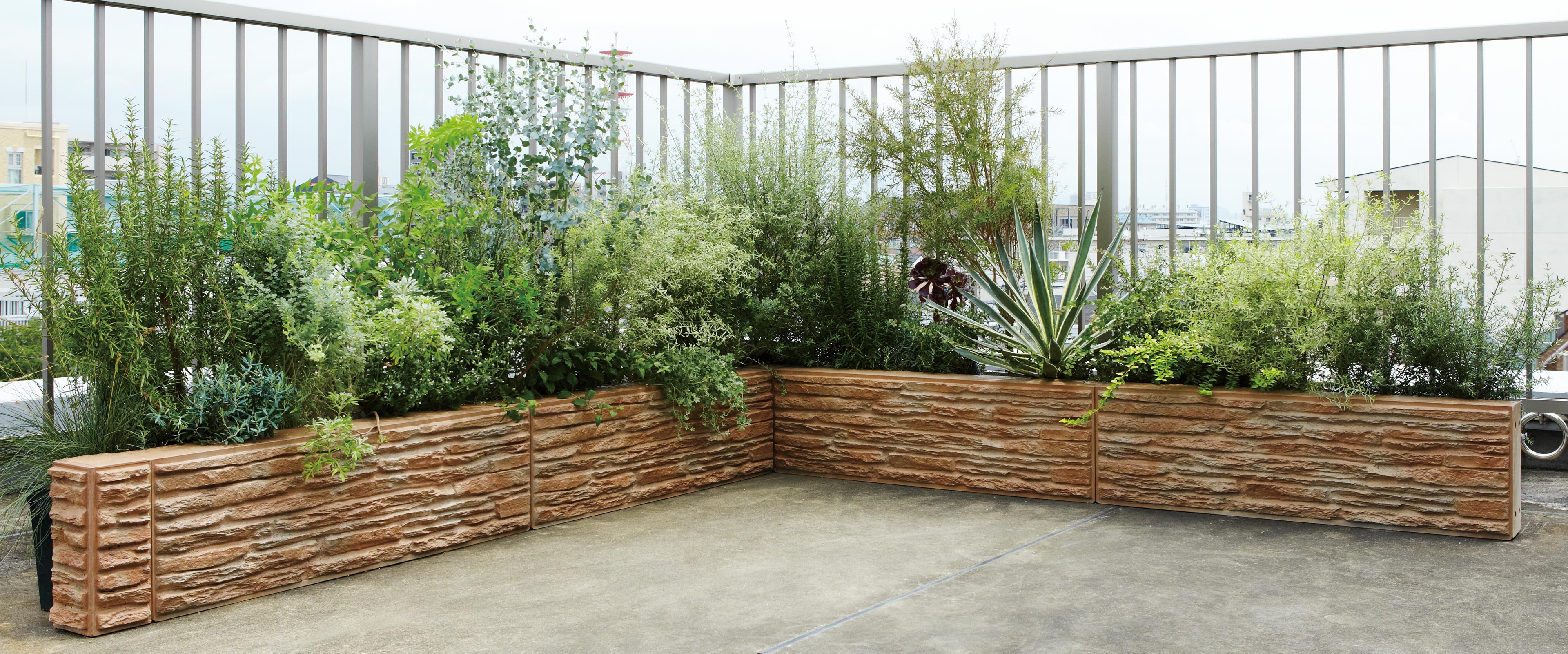 TLCパネル（コバ）