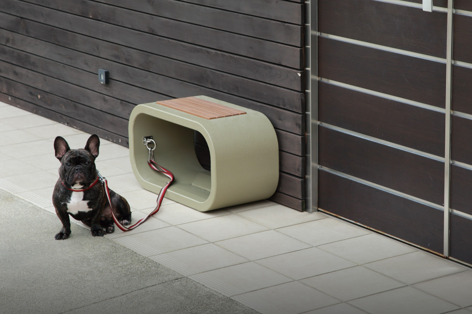 ドッグステイ特集