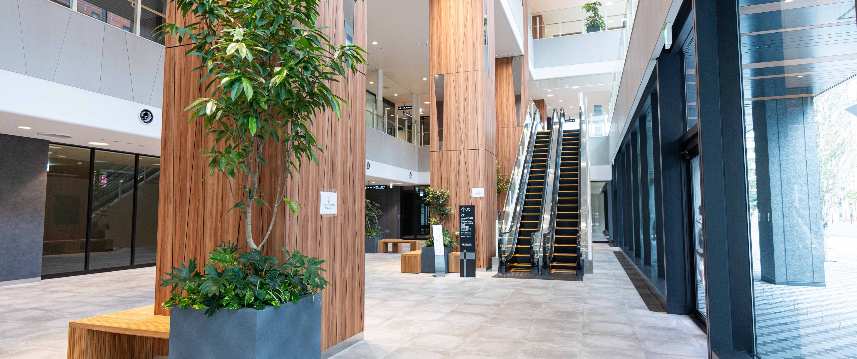 札幌さつきた81