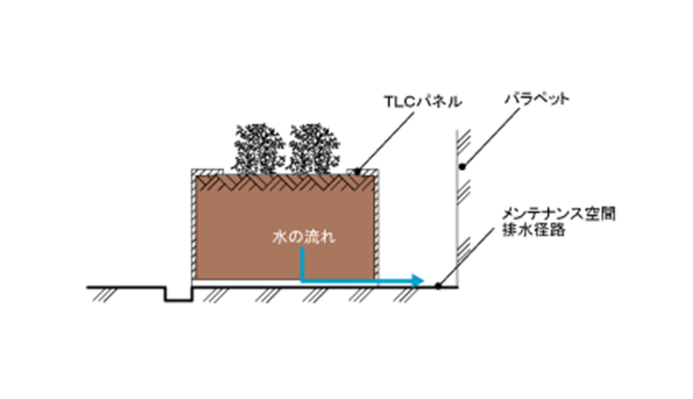 パラペット廻りの植栽帯 2