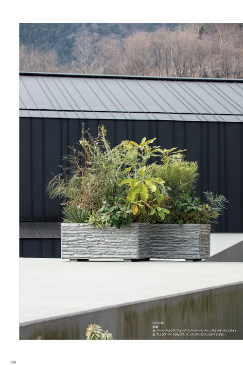 TOSHIN_PLANTER_vol.24_98